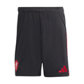 Shorts Liverpool 25/26 2ª equipación